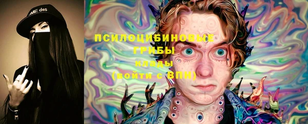 крисы Алексеевка