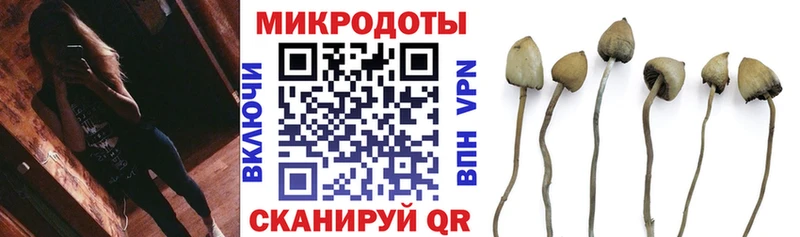 Псилоцибиновые грибы ЛСД  Суровикино 