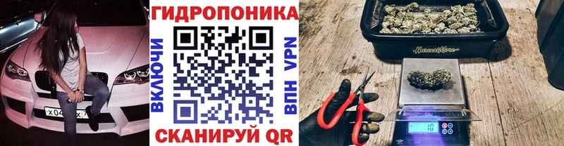 купить наркотик  Суровикино  Бошки Шишки гибрид 